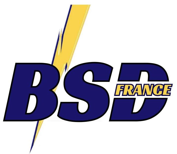 Logo b-s distribution